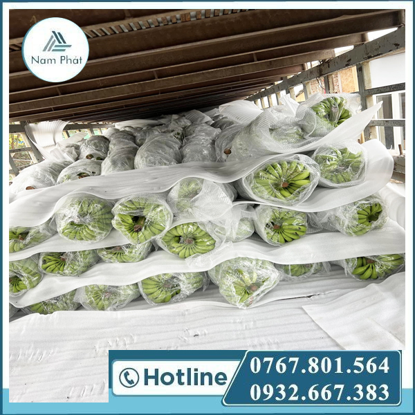 xốp lót trái cây miền Nam