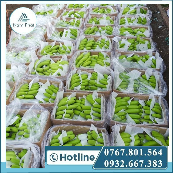 xốp ló chuối xuất khẩu